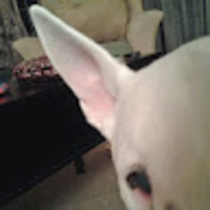 Meet your Posher, Margo